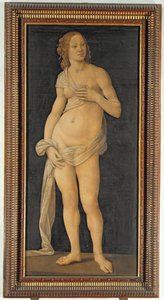 Venus